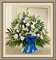 Darcys Floral & Gifts, Po Box 263, Beach, ND 58621, (701)_872-2525